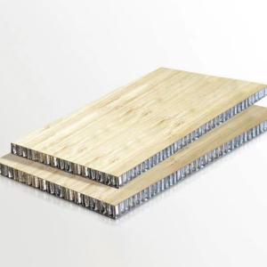 External Wall Cladding Aluminum Honeycomb Sandwich Panel with Anti-Static