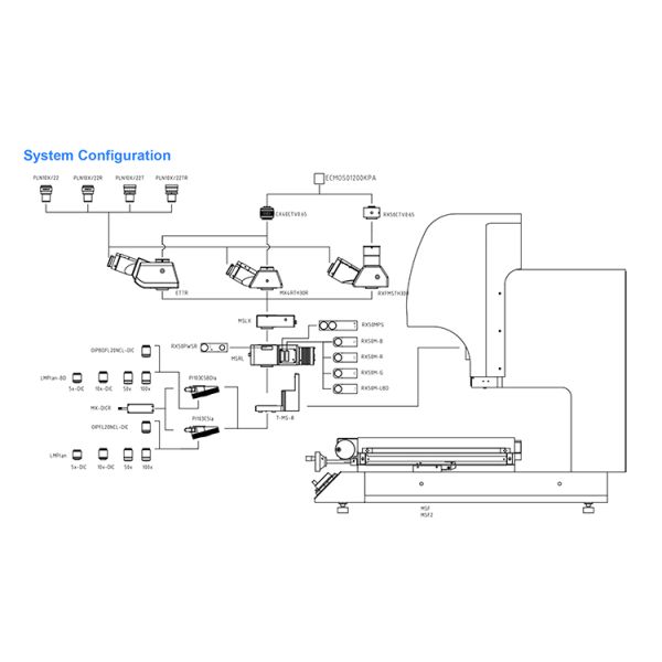 50x-1000x OPTO-EDU A13.0921 BD DIC Optical Metallurgical Microscope