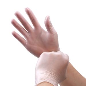Clear Powder Free Disposable Vinyl Gloves For Foodservice / Medical