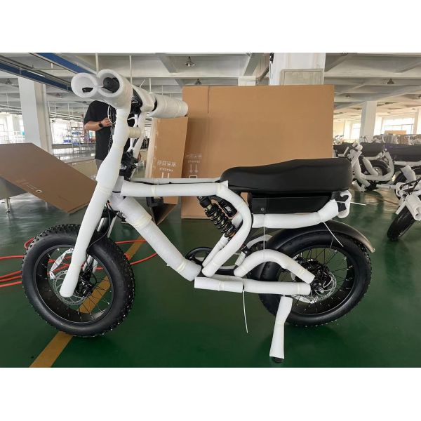 Rear Carrier Battery Position 750W Bafang Motor Electric Bicycle for Urban Commuting