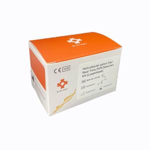 Gastrointestinal Disease Molecular Diagnostic Helicobacter Pylori Hp PCR