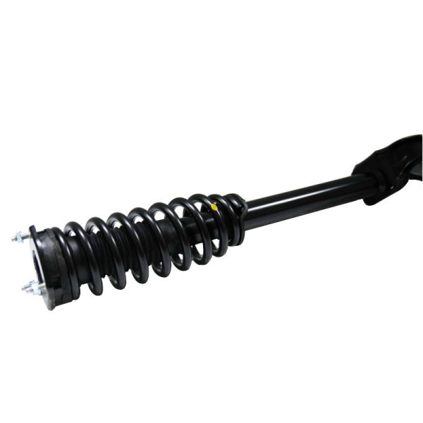 1663232400 1663231000 1663232000 Air Shock Strut With Coil Spring Assembly