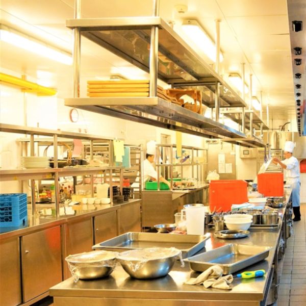 Supply Powerful Silent Snow Ice Flakes Machine For Fishery Product number LZ-500