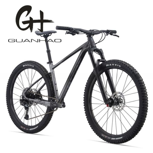 29inch Mountain Bike with SRAM 11 Speed Front Suspension Fork and Aluminium Alloy Frame OEM