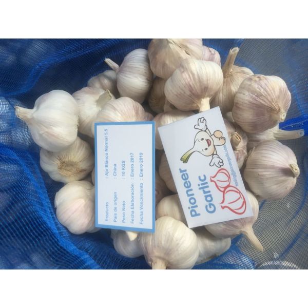 Buy HIGH QUALITY CHINA FRESH GARLIC at wholesale prices
