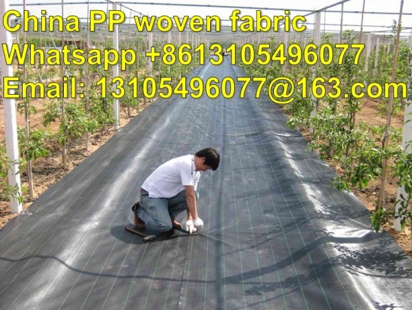 Buy 2m x 25m 100g Weed Control + Pegs + Sheet Ground Cover Membrane Landscape Fabric at wholesale prices