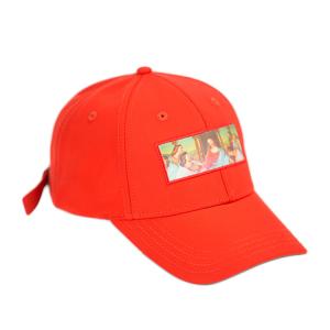 Bsci Custom Baseball Cap Constructed Adjustable Printing Logo