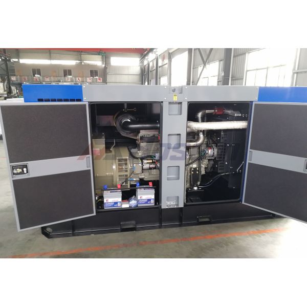 100kVA Ricardo Generator Set with Soundproof Canopy For Outdoor Use