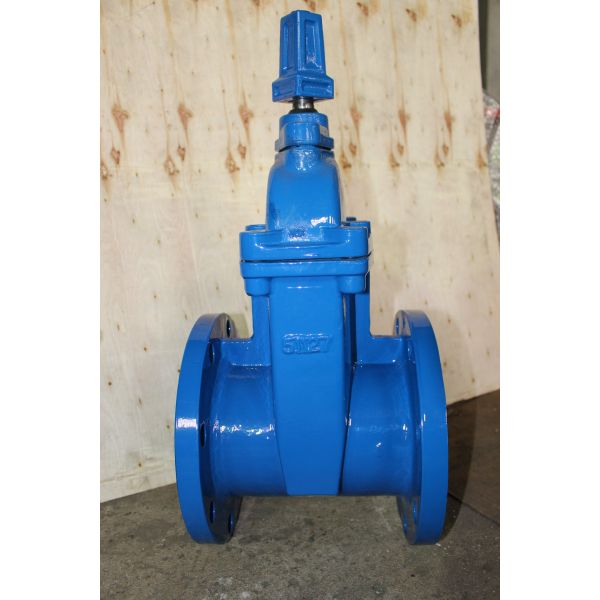 Buy 516-F AWWA Resilient Gate Valve at wholesale prices