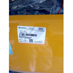 LGMC 48c2917 Left door applicate for Excavator