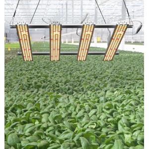 Seed Starting 660nm 150W 24''x24'' Led Grow Light Tube