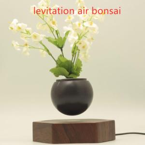 wooden base creative magnetic levitation floating air bonsai plant tree