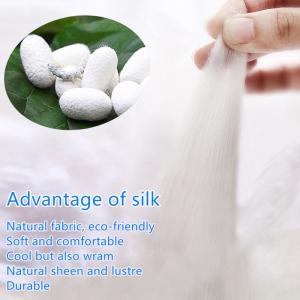 Mulberry Woven Silk Fabric