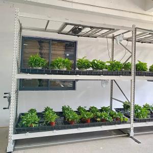 Hot Galvanized Steel Frame Vertical Grow Rack Hydroponic Grow Shelves 8/16/24