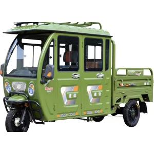 China 50km/h Agriculture 800W 3 Wheel Electric Cargo Bike on sale