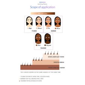 Professional Clinic Laser Hair Removal Machine Diode 3 waves KM960D