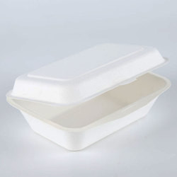 Biodegradable sugarcane Packaging Lunch Box Eco-Friendly Food Containers Meal