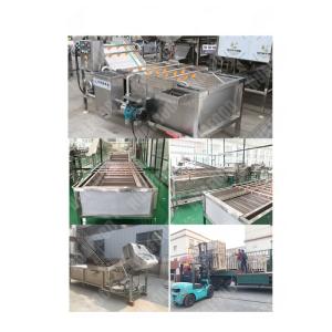 Commercial Washing Machine Fruit Small Capacity