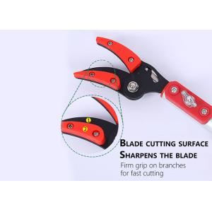 Chrome Plated Bypass Telescoping Pole Pruner For Fruit Tree Picking