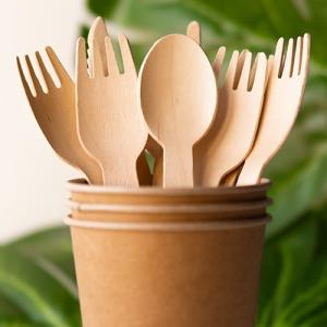 Custom Sustainable Disposable Compostable Wooden Cutlery With OEM ODM Service