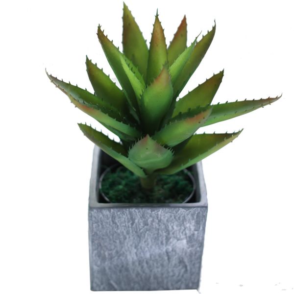 Buy Indoor Decor Artificial Succulent Plant No Nursing Evergreen Four Seasons 50cm Bespoke Bonsai For Hotel Table at wholesale prices