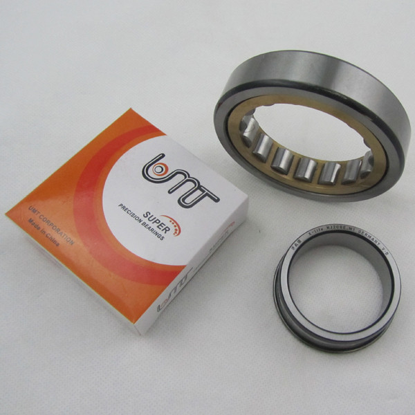 NJ306 NU320 NJ206 Stainless Steel Bearing For Reducer Generator