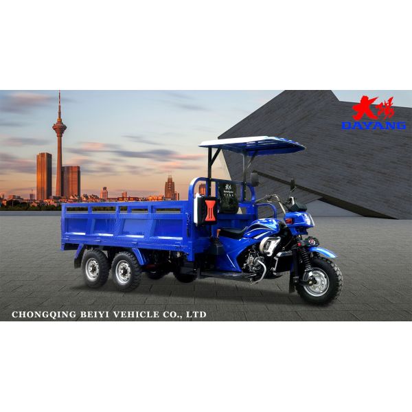 5.00-12/5.00-12 Tyre DAYANG 300cc Double Rear Axle Motorized Tricycle for Heavy Loads