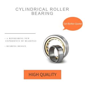 Automotive High Rigidity Single Row Cylindrical Roller Bearing, China Supply,