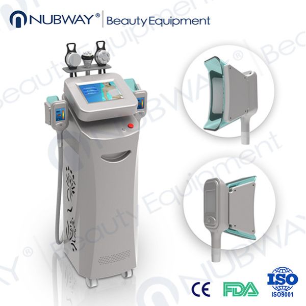 Buy Professional Cryolipolysis Equipment/Portable Vacuum Cryolipolysis Machine at wholesale prices