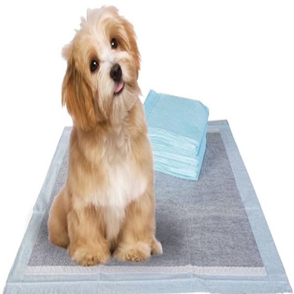 Buy Disposable Friendly Pet Training and Puppy Underpad High Water Absorbability Dog Pee Pad at wholesale prices