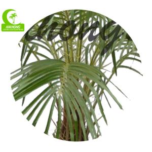 Fiberglass Trunk H150cm Large Artificial Palm Trees For Outside