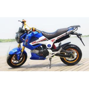 Manual Drive Gas Powered Dirt Bikes Disc Brake 110cc 125cc With Horn