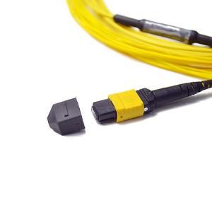 Optic fiber fan-out Patch Leads elite loss SM 12 Fiber 40G MTP/MPO-LC Harnesses