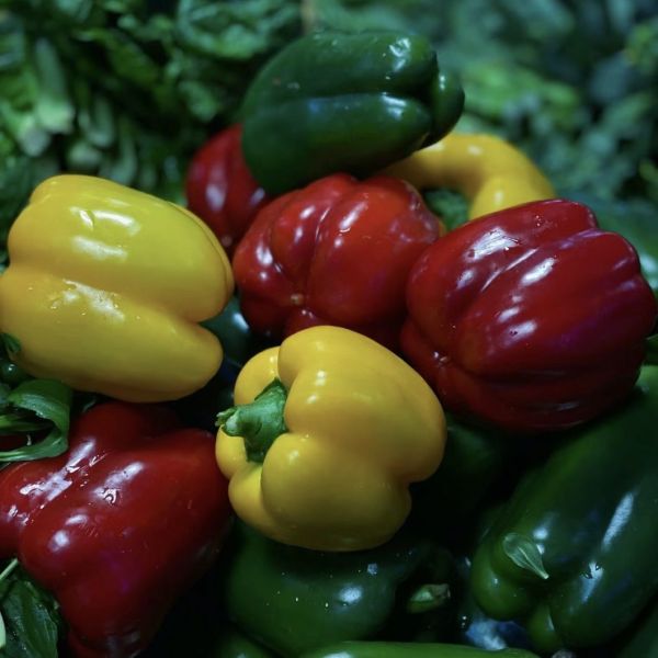 Flower Planting Sunlight Greenhouse