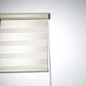 Horizontal Window Shade Blind Zebra Dual Roller Blinds