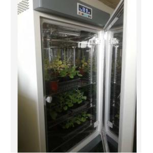 Liyi Plant Growth Chamber Artificial Climate Seed Germination Machine Plant