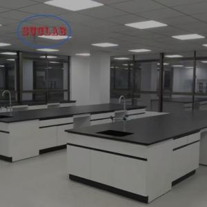 Cutom Government Approved Chemistry Lab Workstation with PP Sink