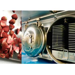 China Industrial Vacuum Lyophilizer Freeze Dryer 100Kg/Batch on sale