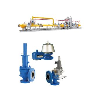 Crosby J-Series Direct Spring Pressure Relief Valves With Natural Gas Skid