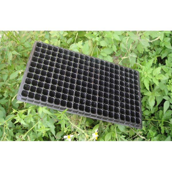 Buy Seed Grow Plastic Germination Trays Garden Vegetable Hydroponic Trays at wholesale prices