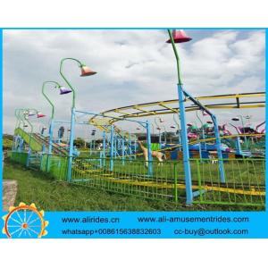 Wacky Worm/Caterpillar Slide Amusement Park Rides dragon coaster for sale