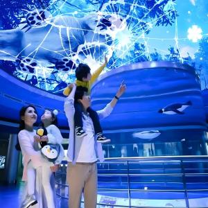 Customizable Magic Sky Screen Hologram Canopy Projection Interactive Projector