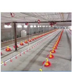 Galvanized Chicken Raising Equipment Poultry Drinking Line Raised Chicken