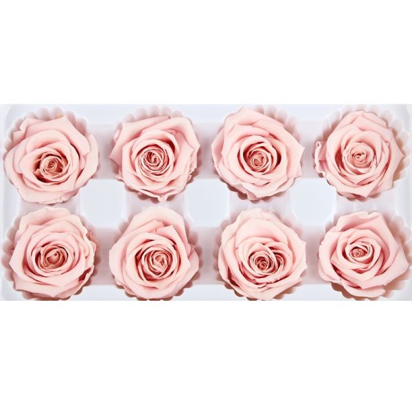 Decorative Fresh Cut Yellow Preserved Roses 2-3 Cm