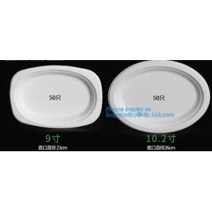 eco sugarcane pulp disposable biodegradable plate,Factory 100% Biodegradable
