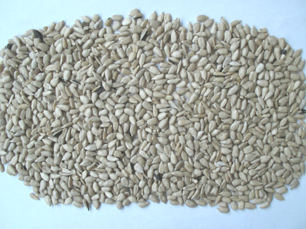 8 chute Pistachio Color Sorter Machine Coffee Color Sorter Machine Hazelnut Color Sorter