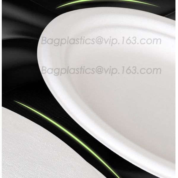 white circular paper dinner plates with PLA coating film, tableware, Light