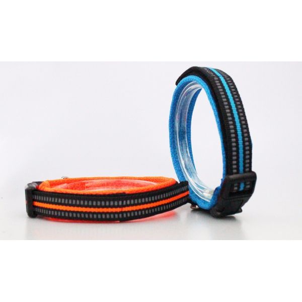 Buy Multi Color Cheap And Safe Nylon Dog Collars Webbing And Airmesh Material at wholesale prices