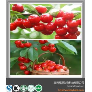 Hot selling in 2016 Acerola Cherry Extract 5:1