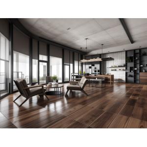 OEM Aluminium Insulated Glass Windows Replacement Windproof And Fireproof